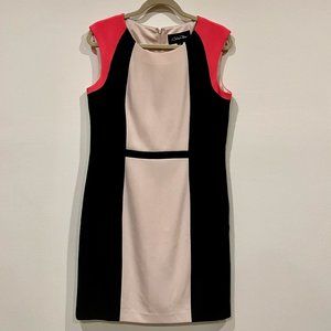 Simple and Elegant Chelsea Rose Sleeveless Dress